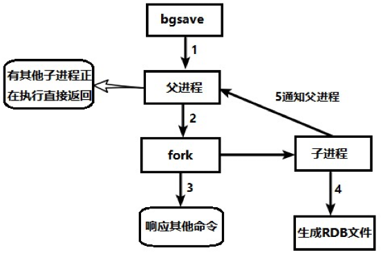 RDB持久化流程